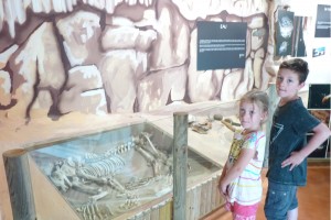 musee-grotte-foissac-squelette